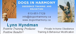 DogsInHarmony